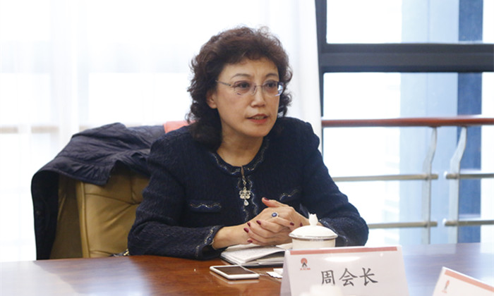 中欧协会副会长周静精彩发言